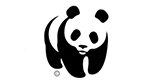 南京熊猫